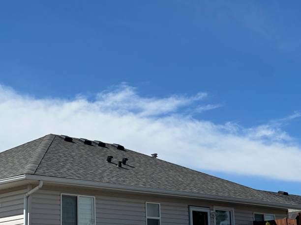 Emergency Roof Repair in Los Lunas, NM